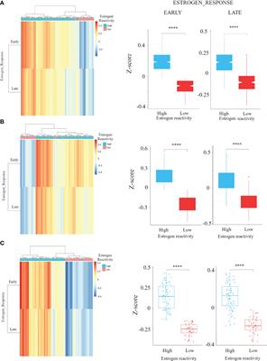 Clinical Relevance of Estrogen Reactivity in the Breast Cancer Microenvironment